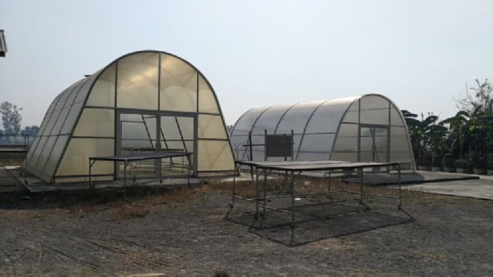 เกษตรแปลงใหญ่สมุนไพร สร้างรายได้มากกว่ากลุ่มเกษตรกรทั่วไป