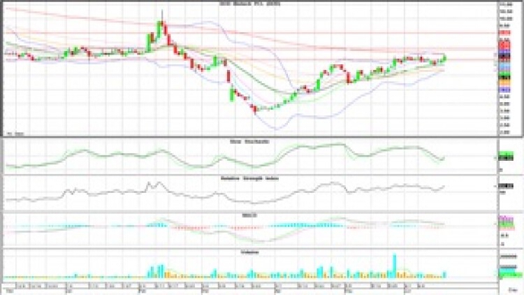 "Technical" Insight (19 มิ.ย.63)