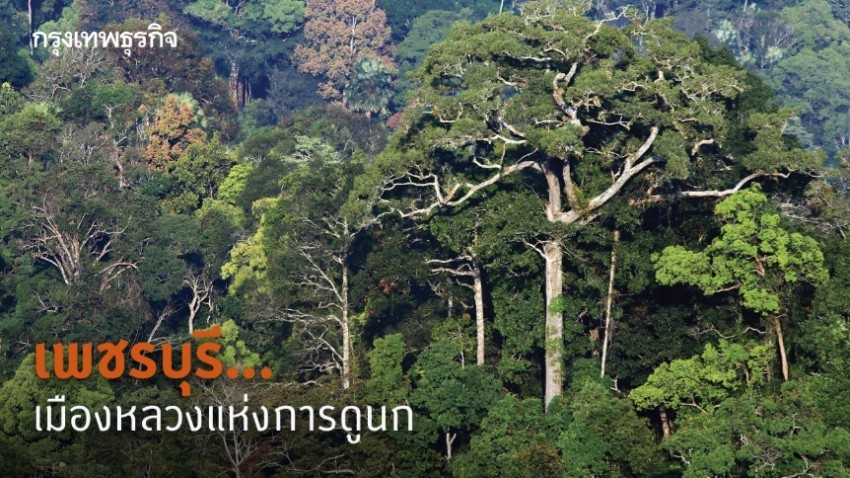 เพชรบุรี...เมืองหลวงแห่งการดูนก