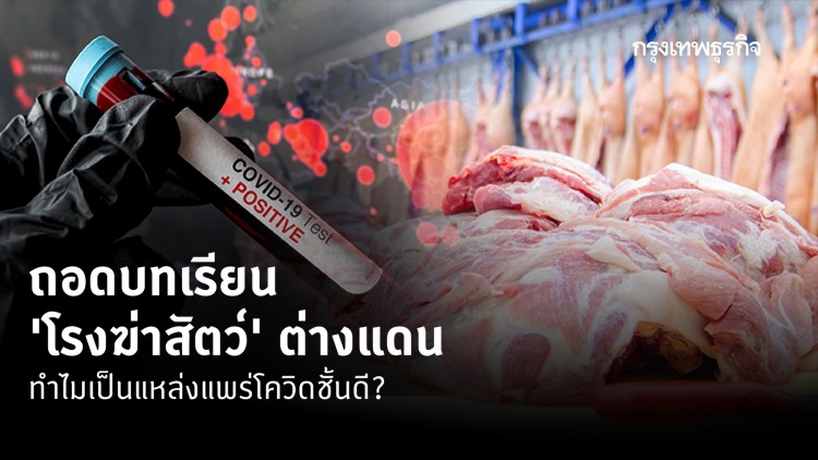 ถอดบทเรียน ‘โรงฆ่าสัตว์’ ต่างแดน ทำไมเป็นแหล่งแพร่โควิดชั้นดี?