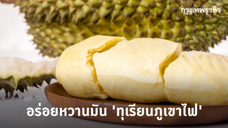ช้อปชิมชิล 'ทุเรียนภูเขาไฟ' แบบ New Normal ที่เมืองศรีสะเกษ