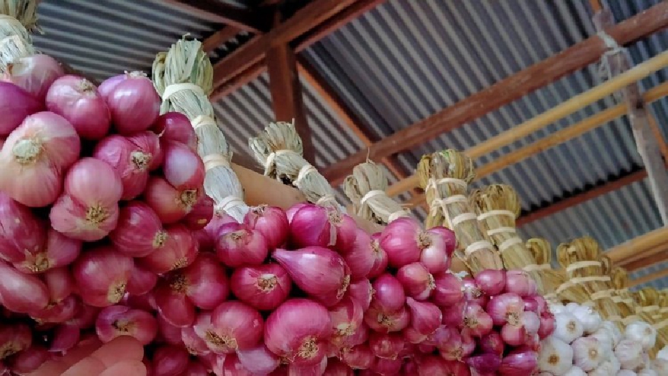 พาณิชย์ประกาศขึ้นทะเบียนหอมแดง-กระเทียม ศรีษะเกษ เป็นสินค้า GI