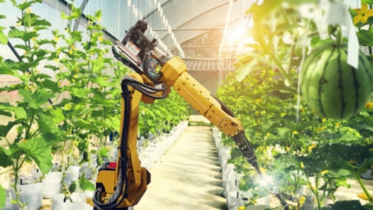 เอ็นไอเอชี้ 7 วิถีเกษตรนวัตกรรมดาวรุ่ง รับคนไทยกลับถิ่นฐานสร้างอาชีพใหม่