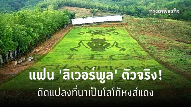 สาวก 'ลิเวอร์พูล' สร้างความฮือฮาทำที่นา 2 ไร่ เป็นโลโก้ ‘หงส์แดง’