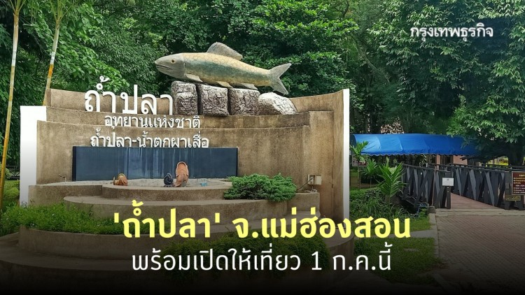 ปักหมุด 'ถ้ำปลา' จ.แม่ฮ่องสอน พร้อมเปิดให้เที่ยวแล้ว 1 ก.ค. 63