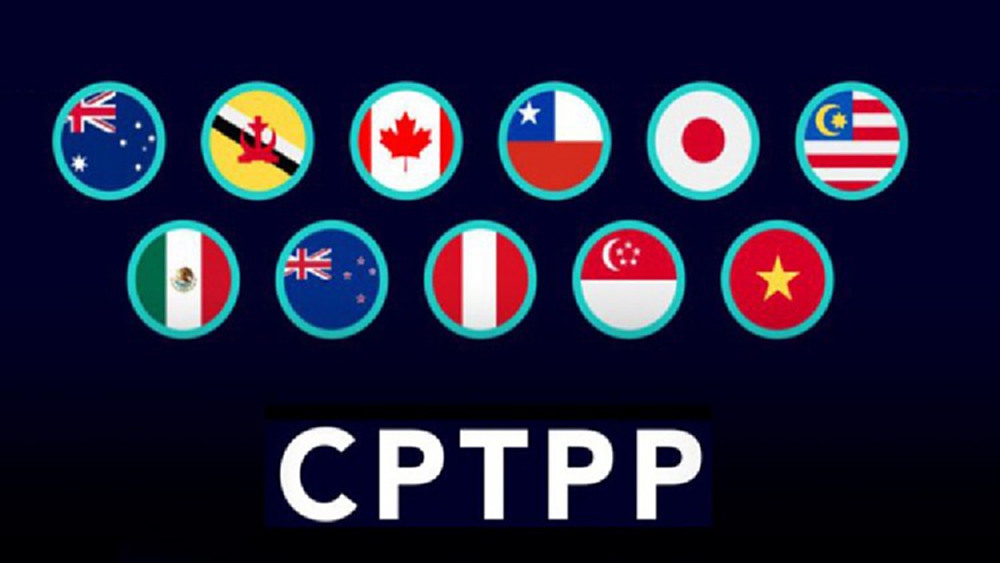 กมธ. CPTPP ขอต่อเวลา 60 วัน ไทยพลาดสมัครเจรจาส.ค.นี้