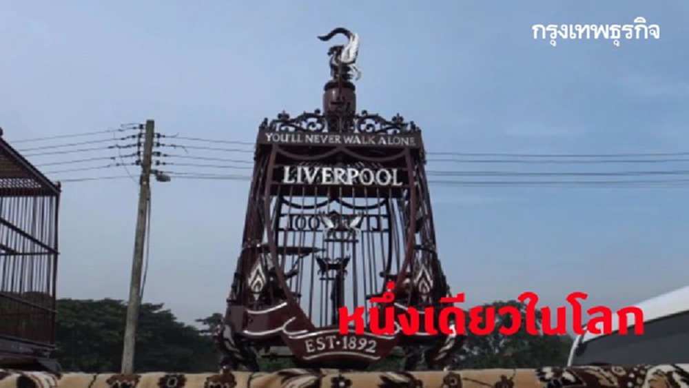 กรงนกเขาหงส์แดง 'ลิเวอร์พูล' หนึ่งเดียวในโลก