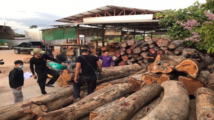พยัคฆ์ไพร พญาเสือ ขยายผล ไล่ล่าแกงค์ปล้นไม้ของกลางล๊อตใหญ่ในพื้นที่อีสาน