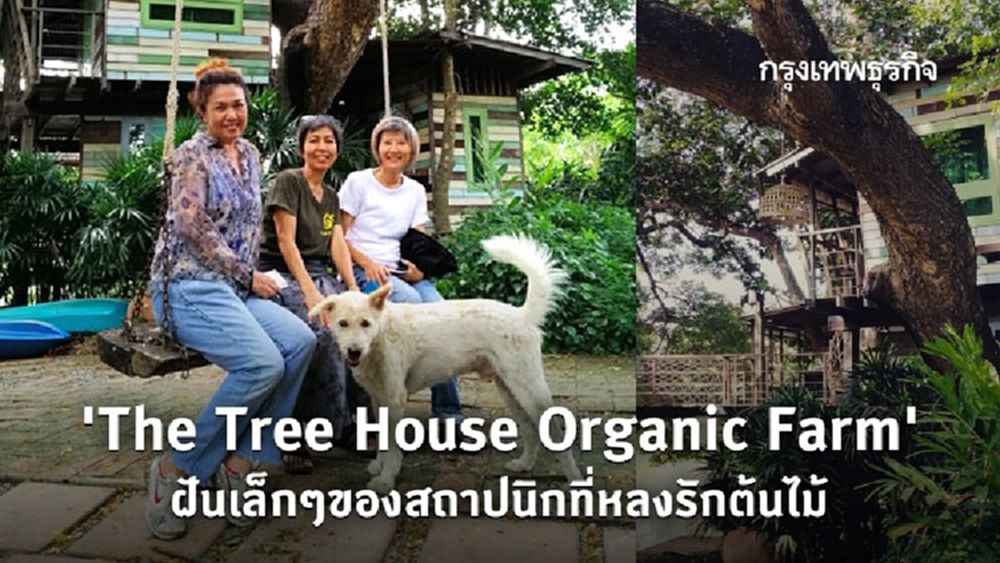 'The Tree House Organic Farm' ฝันเล็กๆของสถาปนิกที่หลงรักต้นไม้