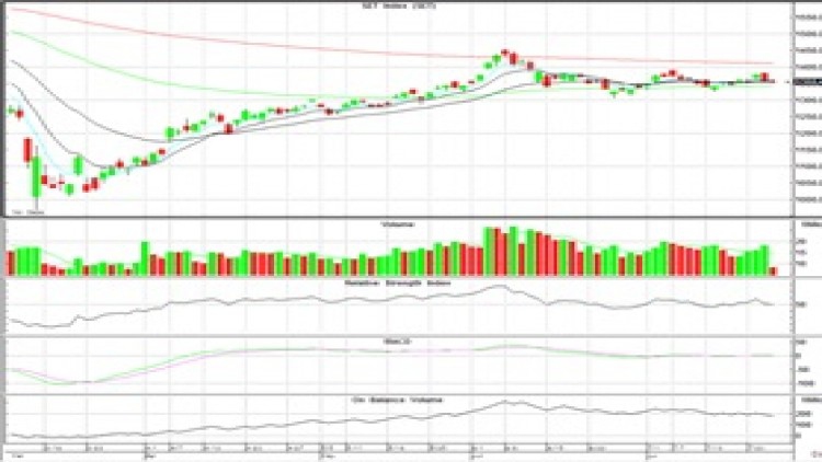 AFTERNOON CALL ACTION NOTES (23 ก.ค.63)