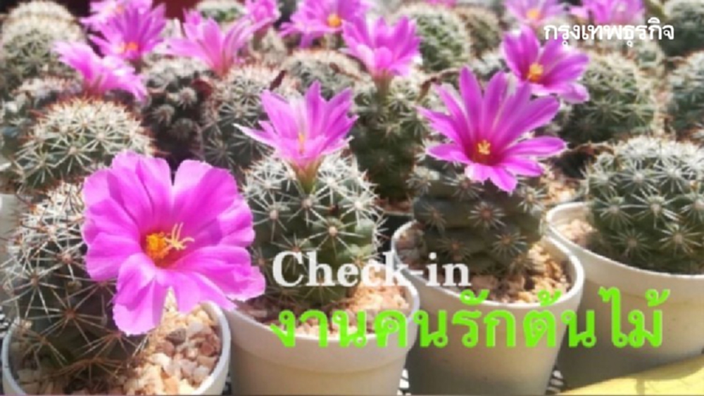 เวิร์คช็อป อีเวนต์ งานเซล ‘สุดสัปดาห์’ นี้