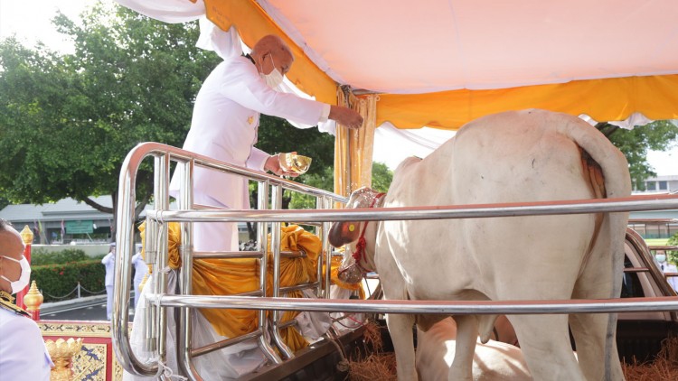 ‘ในหลวง’ โปรดเกล้าฯ ให้ ผู้แทนพระองค์ ไปในการบำเพ็ญพระราชกุศล เนื่องในโอกาส ‘วันเฉลิมพระชนมพรรษา’