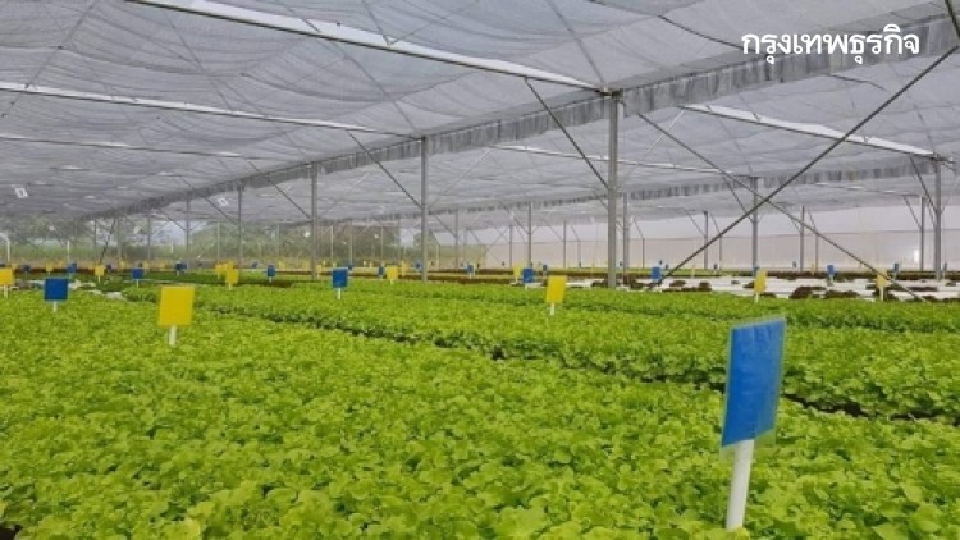 สศก. ชี้จีดีพีเกษตรครึ่งปีแรกหด5.1 %