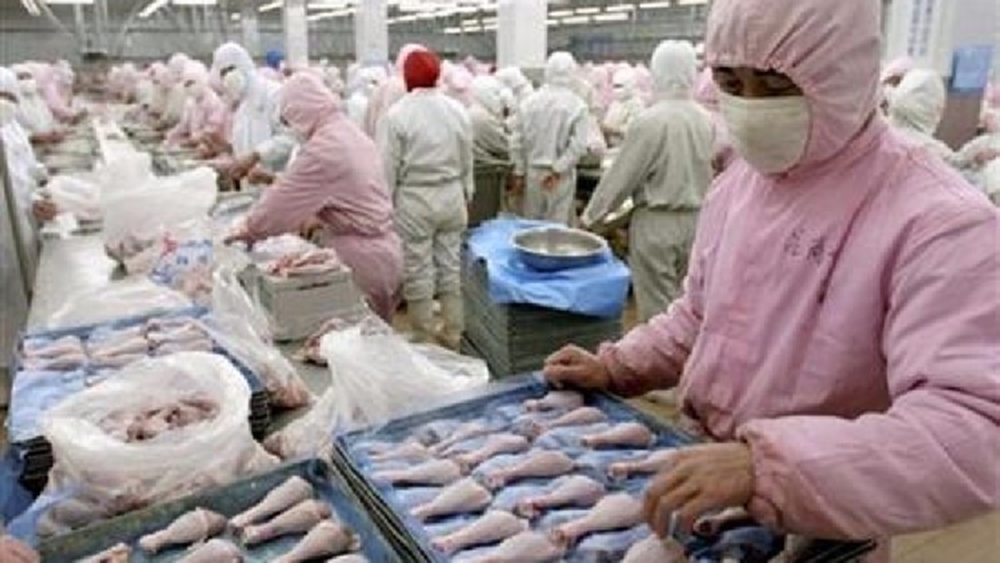 จีนผวา! เจอไก่แช่แข็งนำเข้า ‘บราซิล’ ปนเปื้อนโควิด