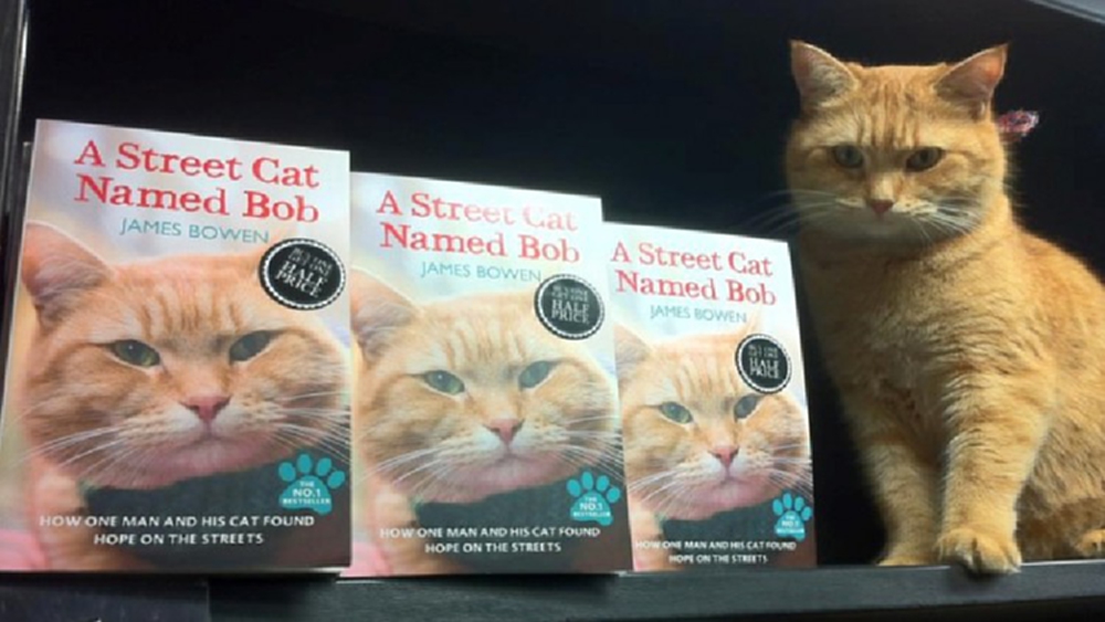 ระลึกถึง 'บ็อบ' และ 'วันแมวโลก'