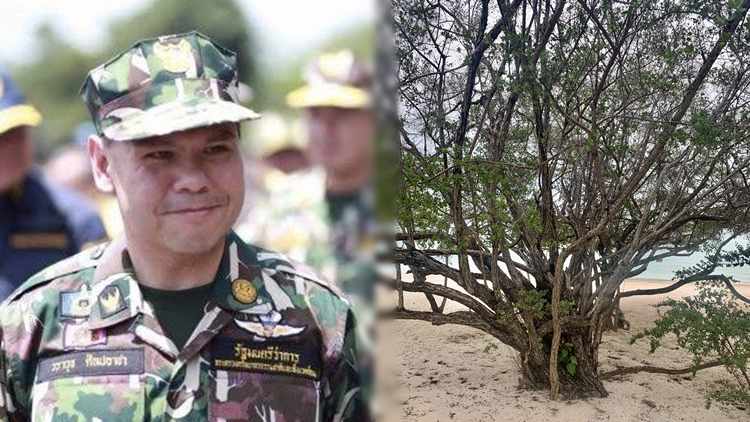 ด่วน! มีผลวันนี้ ลักลอบขุดต้นเทียนทะเล จำคุก 1 ปี ปรับ 1 แสน