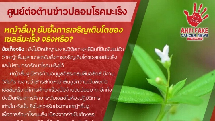 ข่าวปลอม! หญ้าลิ้นงูยับยั้งการเจริญเติบโตของเซลล์มะเร็ง”