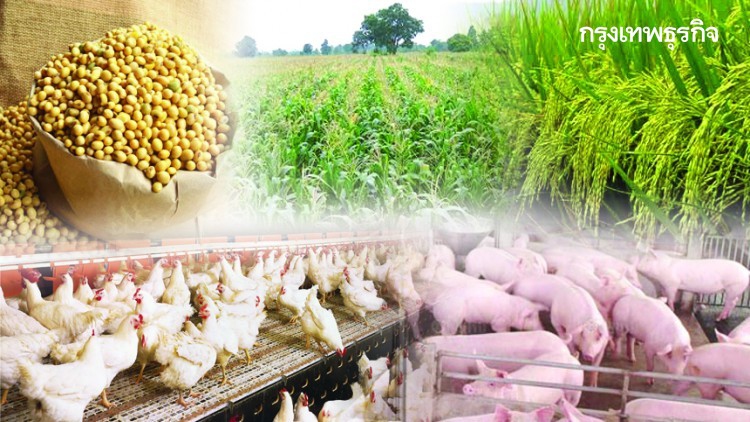"Agricultural" Price Update (19 ส.ค.63)