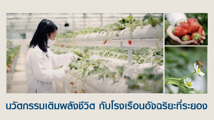 การผสานองค์ความรู้ สู่นวัตกรรมผลผลิตพืชเมืองหนาว