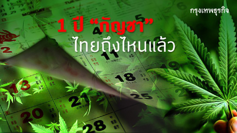 สธ.ดัน “น้ำมันกัญชาสูตรเดชา”เข้าบัญชียาหลักแห่งชาติ