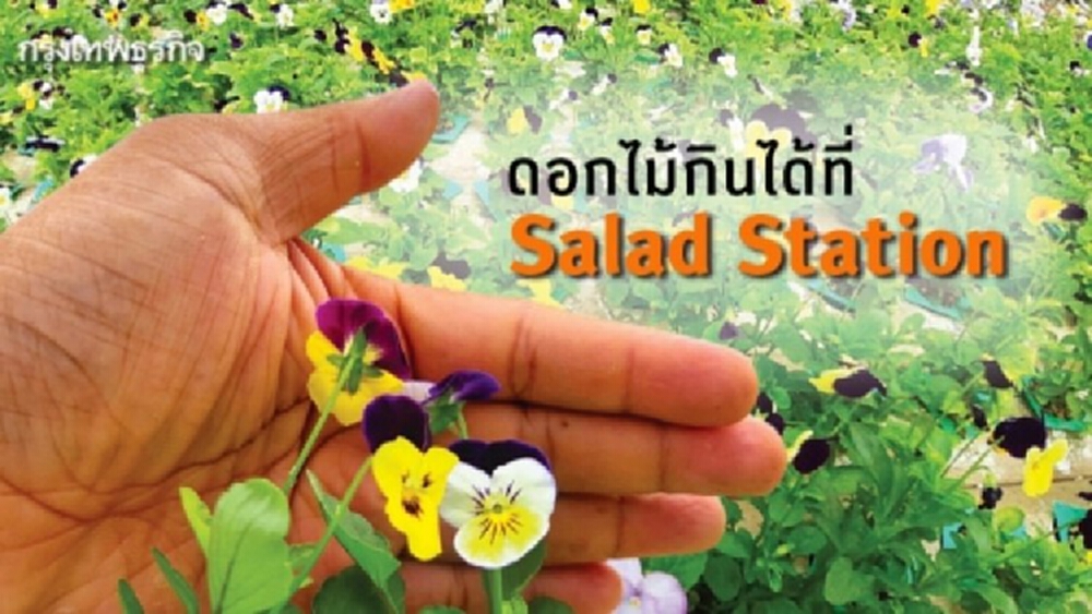 ดอกไม้กินได้ที่ Salad Station