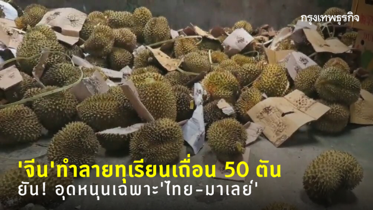 'จีน' รับเฉพาะทุเรียน 'ไทย-มาเลย์' หลังทำลายทุเรียนเถื่อน 50 ตัน