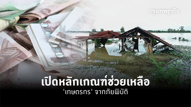 เปิดหลักเกณฑ์ช่วยเหลือ ‘เกษตรกร’ ประสบภัยพิบัติด้านพืช มีขั้นตอนอย่างไร?