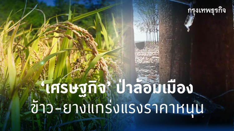 'เศรษฐกิจ' ป่าล้อมเมือง ข้าว-ยางแกร่งแรงราคาหนุน