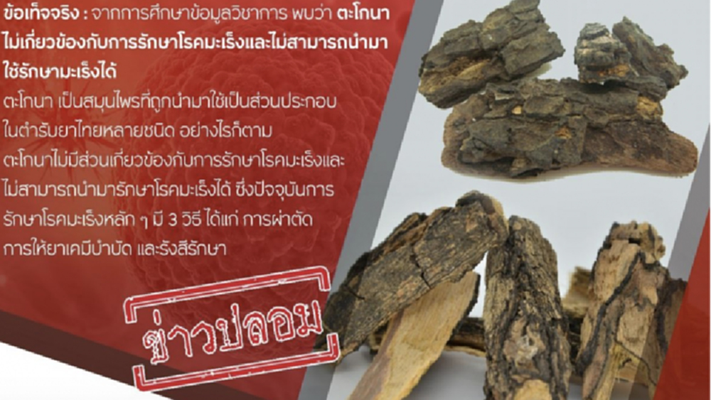 ข่าวปลอม!! เปลือกต้นและแก่น 'ตะโกนา' สามารถรักษาโรคมะเร็ง