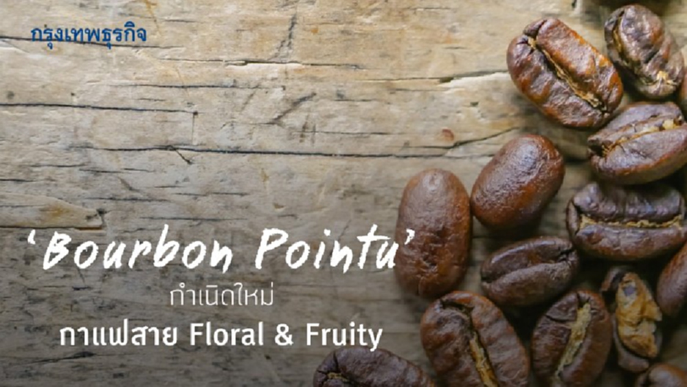 ‘Bourbon Pointu’ กำเนิดใหม่กาแฟสาย Floral & Fruity