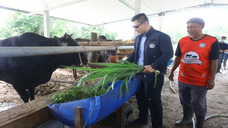 เลขาฯ รมว.อว. ลุยชายแดนภาคใต้ ติดตามศักยภาพการผลิตเกษตรด้านปศุสัตว์