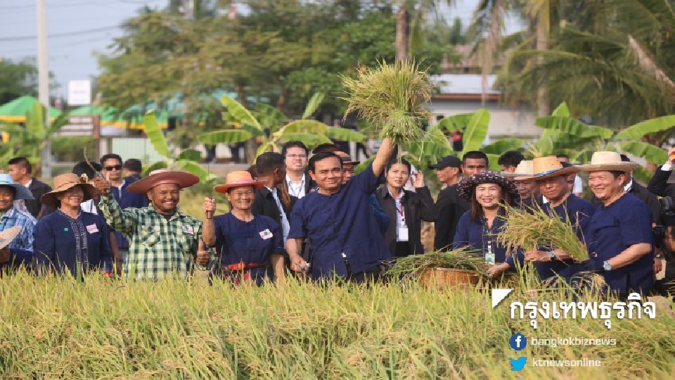 สภาเกษตรเสนอรัฐทุ่ม 5 หมื่นล้าน ตั้งกองทุนปรับโครงสร้างการผลิต