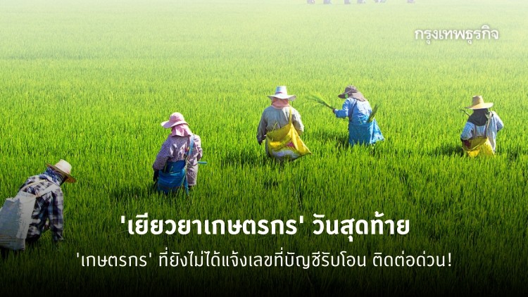 'เยียวยาเกษตรกร' เช็คสิทธิ์ วันสุดท้าย! 'เกษตรกร' ที่ยังไม่ได้แจ้งเลขที่บัญชีรับโอน ติดต่อด่วน!