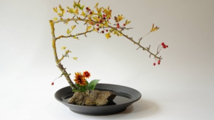 วิถีแ่ห่ง'เซน' ฝึกจิตโดยปราศเงื่อนไข