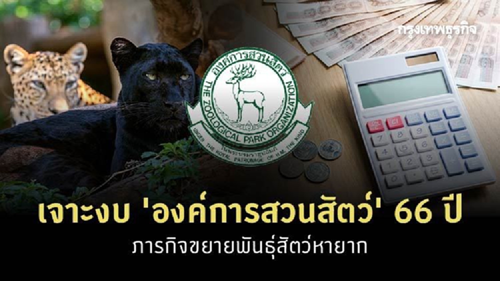 เจาะงบ “องค์การสวนสัตว์”  66 ปี ภารกิจขยายพันธุ์สัตว์หายาก