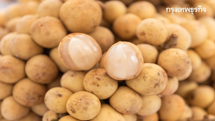 ‘ลองกอง’ ‘ผลไม้ไทย’ จาก ‘ยะลา’ 'ราคาถูก' รสดีมีประโยชน์ 