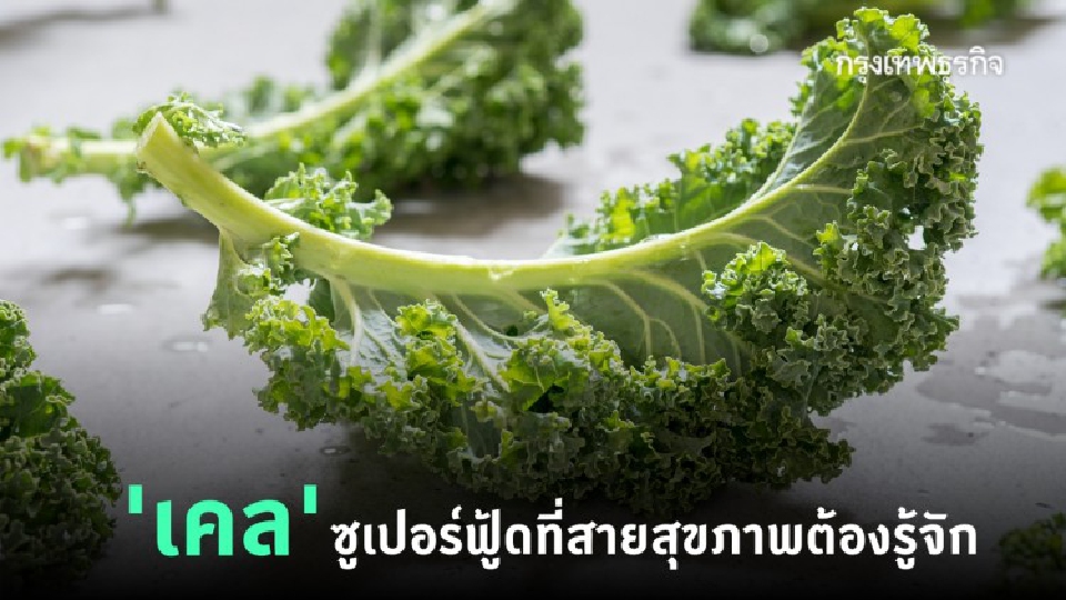 10 ประโยชน์ 'เคล' ราชินีผักใบเขียวที่สาย 'สุขภาพ' ต้องรู้จัก