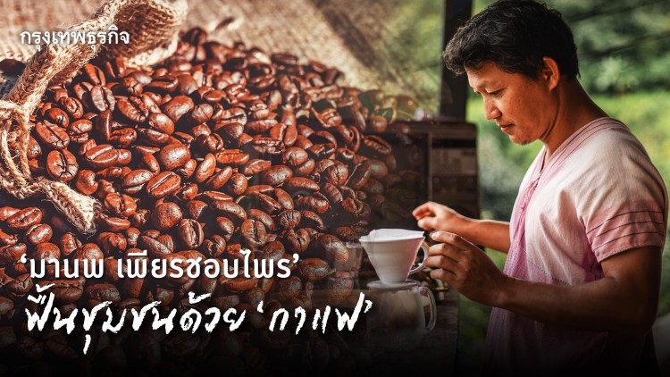 ‘มานพ เพียรชอบไพร’  ฟื้นชุมชนด้วย‘กาแฟ’ 