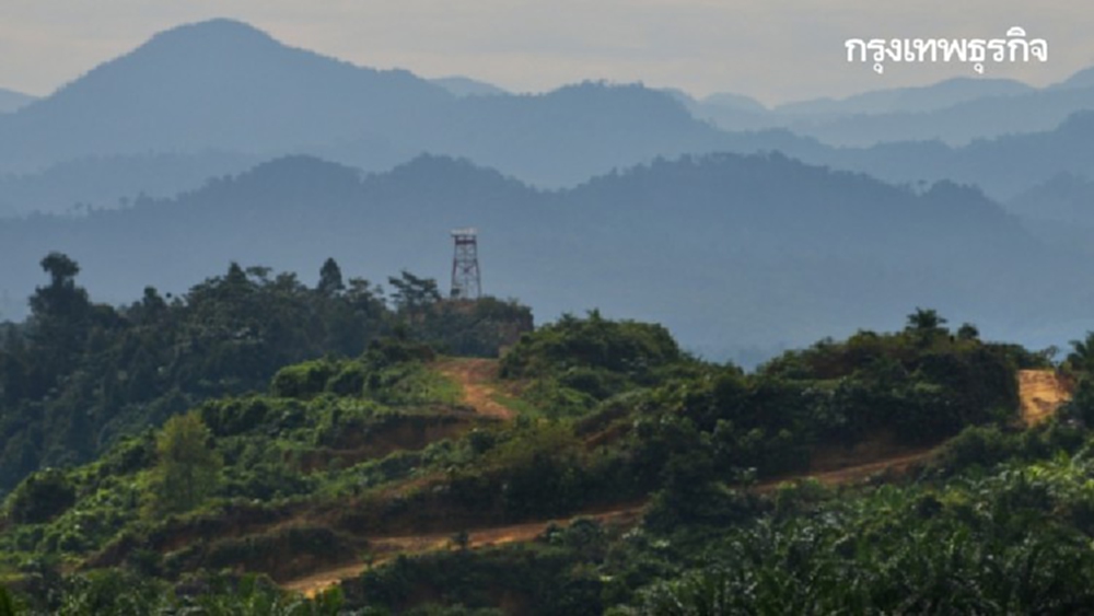 อียูทำโครงการ‘บริหารป่าไม้อาเซียน’