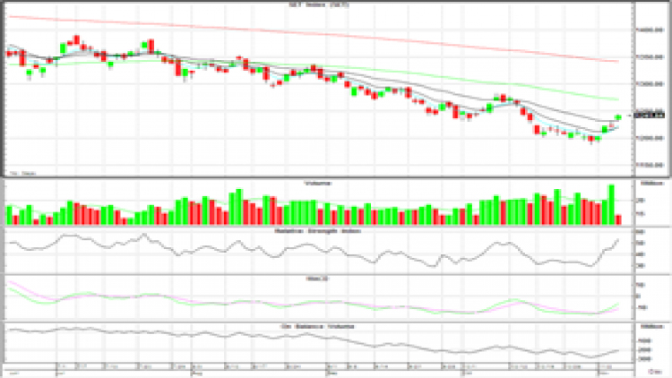 AFTERNOON CALL ACTION NOTES (5 พ.ย.63)