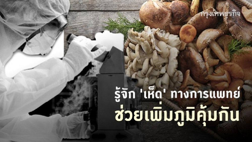 ไขความลับ 'เห็ด' และเบต้ากลูแคน มีประโยชน์ต่อ 'สุขภาพ' ยังไง?