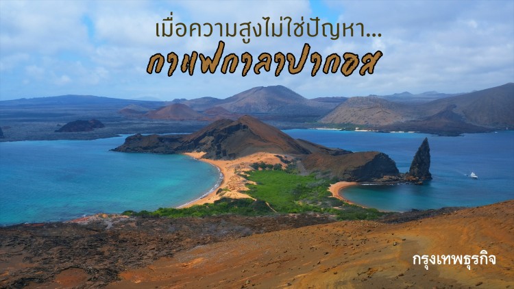 เมื่อความสูงไม่ใช่ปัญหา... กาแฟกาลาปากอส