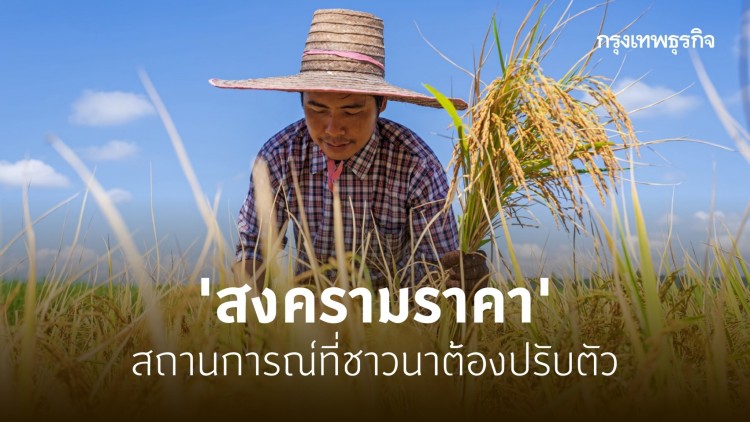 'สงครามราคา' สถานการณ์ที่ 'ชาวนา' ต้องปรับตัว 