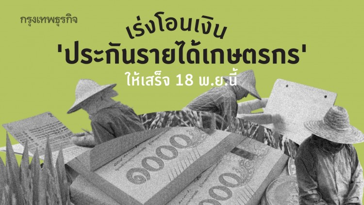 รัฐเร่งโอนเงิน 'ประกันรายได้เกษตรกร' ให้แล้วเสร็จ 18 พ.ย.นี้