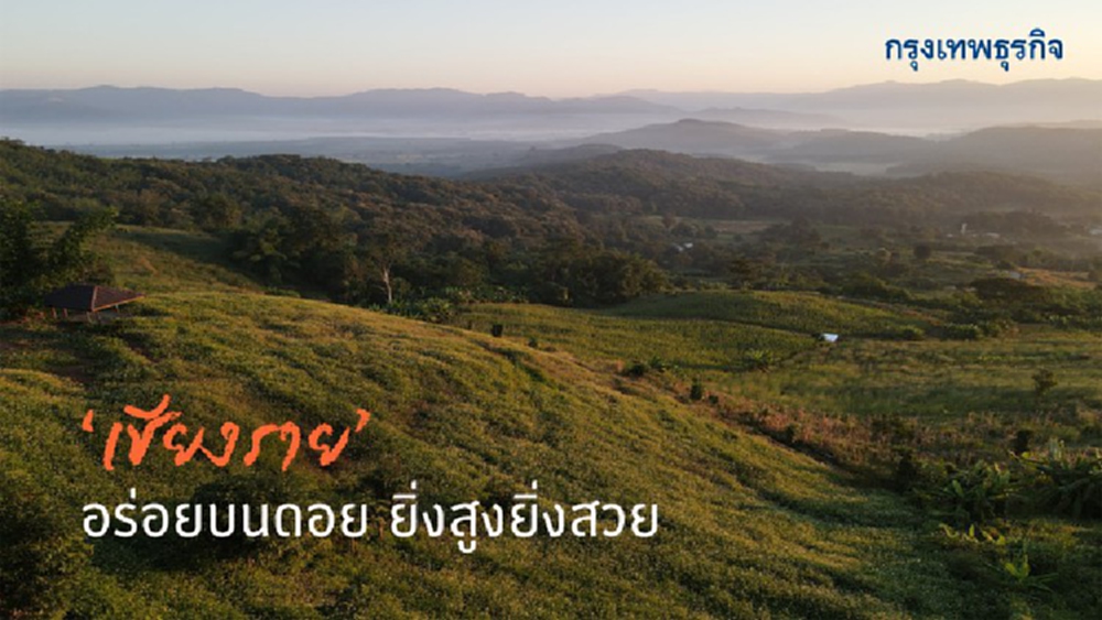 ‘เชียงราย’ อร่อยบนดอย ยิ่งสูงยิ่งสวย