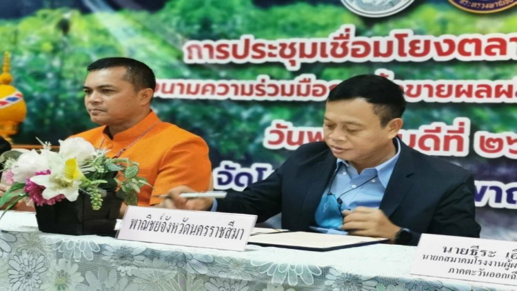 พาณิชย์โคราชดึงโรงแป้ง-เกษตรกรซื้อขายมันสำปะหลังรองรับปริมาณผลผลิตล่วงหน้า