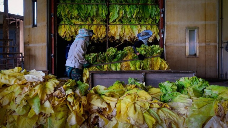 ส.ส.เพชรบูรณ์ ร้องสภา เร่งแก้ปัญหาภาษียาสูบ และขยะล้นเขาค้อ