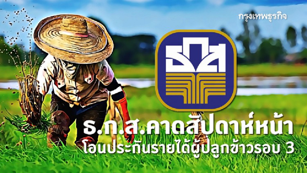 ธ.ก.ส.คาดสัปดาห์หน้า โอนประกันรายได้ผู้ปลูกข้าวรอบ 3