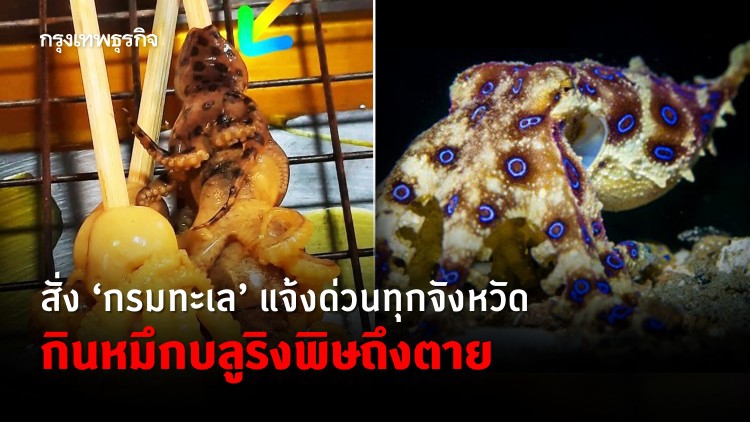 สั่ง 'กรมทะเล' แจ้งด่วนทุกจังหวัด กิน 'ปลาหมึกบลูริง' พิษถึงตาย
