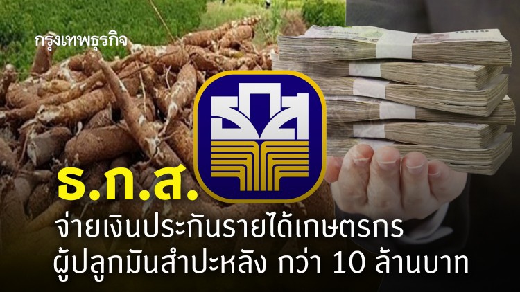 ธ.ก.ส. จ่ายเงิน 'ประกันรายได้เกษตรกร' ผู้ปลูกมันสำปะหลัง กว่า 10 ล้านบาท